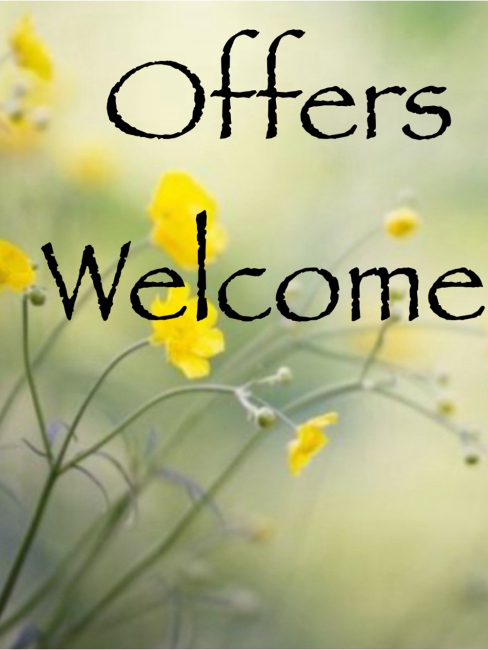Spring Offers Welcome
